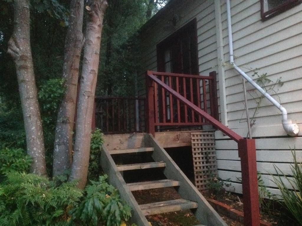Belgrave Hideaway Bed and Breakfast Exteriör bild